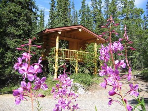 Lakeside Cabin